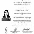 Ampliar imagen: certificate 3