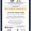Ampliar imagen: certificate 13