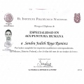 Ampliar imagen: certificate 5