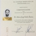 Ampliar imagen: certificate 2