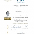 Ampliar imagen: certificate 3
