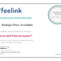 Ampliar imagen: certificate 9