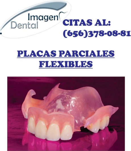 Leonel Palma Carlos-13