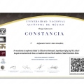 Ampliar imagen: certificate 7