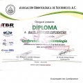 Ampliar imagen: certificate 6
