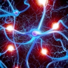 Dr. Andres Cruz Maycott