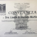 Ampliar imagen: certificate 23