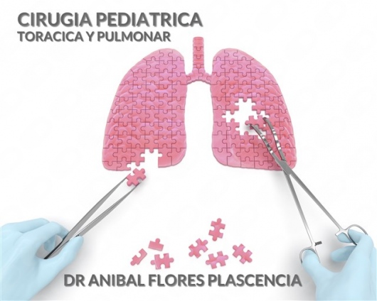 Anibal Enrique Flores Plascencia-8