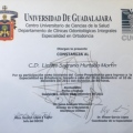 Ampliar imagen: certificate 26
