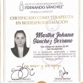 Ampliar imagen: certificate 6