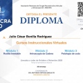 Ampliar imagen: certificate 27