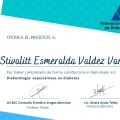 Ampliar imagen: certificate 14