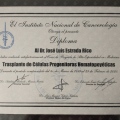 Ampliar imagen: certificate 9