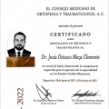 Ampliar imagen: certificate 1