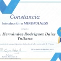 Ampliar imagen: certificate 9