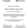 Ampliar imagen: certificate 3