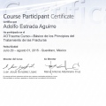 Ampliar imagen: certificate 5