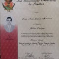 Ampliar imagen: certificate 3