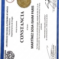 Ampliar imagen: certificate 17