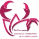 Edgar Gallardo Hernández