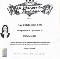 Ampliar imagen: certificate 6