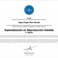 Ampliar imagen: certificate 3
