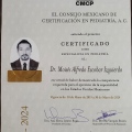 Ampliar imagen: certificate 5