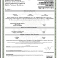 Ampliar imagen: certificate 7