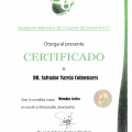 Ampliar imagen: certificate 1
