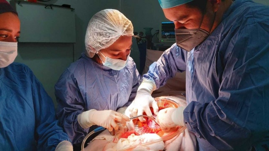 Jose Luis Jasso Perez-8