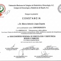 Ampliar imagen: certificate 28
