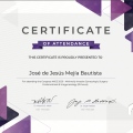 Ampliar imagen: certificate 46