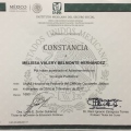 Ampliar imagen: certificate 3