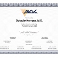 Ampliar imagen: certificate 2