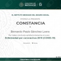 Ampliar imagen: certificate 5
