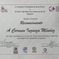 Ampliar imagen: certificate 31