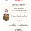 Ampliar imagen: certificate 9