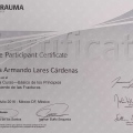 Ampliar imagen: certificate 5