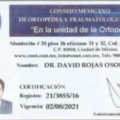 Ampliar imagen: certificate 11