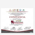 Ampliar imagen: certificate 4