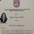 Ampliar imagen: certificate 31