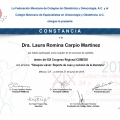 Ampliar imagen: certificate 29
