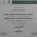 Ampliar imagen: certificate 5