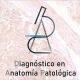Paola Yolotzin Valenzuela T.