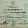 Ampliar imagen: certificate 4