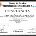 Ampliar imagen: certificate 13