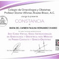 Ampliar imagen: certificate 2