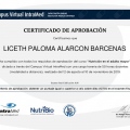 Ampliar imagen: certificate 3