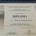 Ampliar imagen: certificate 89