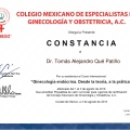 Ampliar imagen: certificate 21